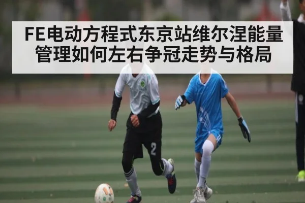 FE电动方程式东京站维尔涅能量管理如何左右争冠走势与格局